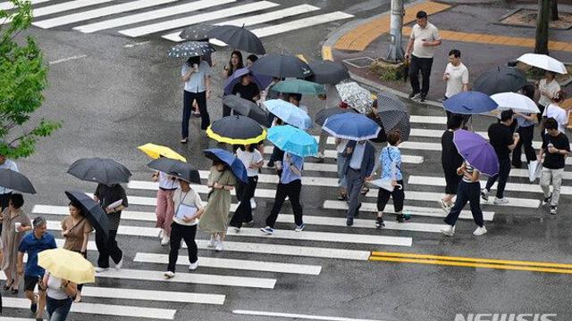 광주·전남 곳곳 비 최대 100㎜↑…낮 최고 29도