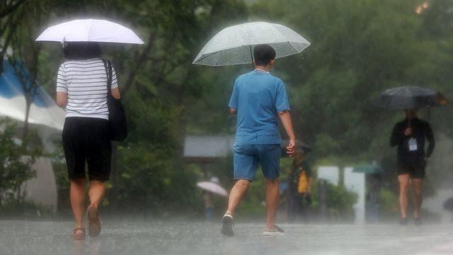 부산·울산·경남 돌풍 동반 비…20∼80㎜ 예상