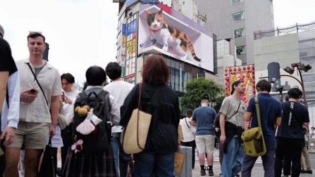 일본 인구 16년 연속 감소…감소폭 역대 최대
