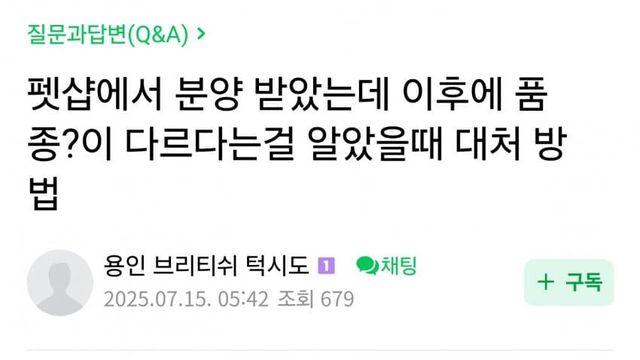 ㅍ)펫샵 분양 브숏. 9개월 똥도숏으로 자랐습니다 ^^