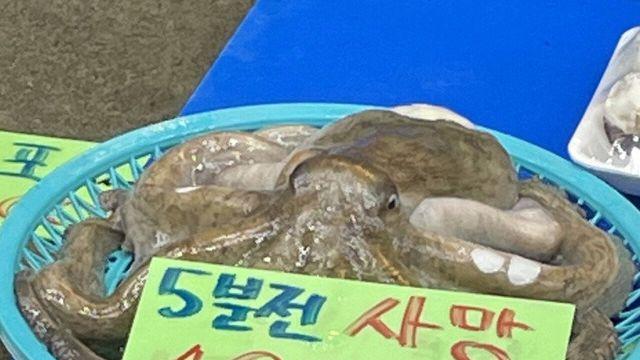 은근 세상 힙한 멘트류 모음