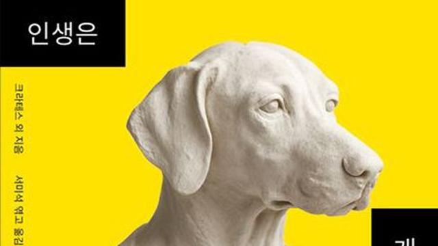 인생은 개처럼 사는 편이 좋다