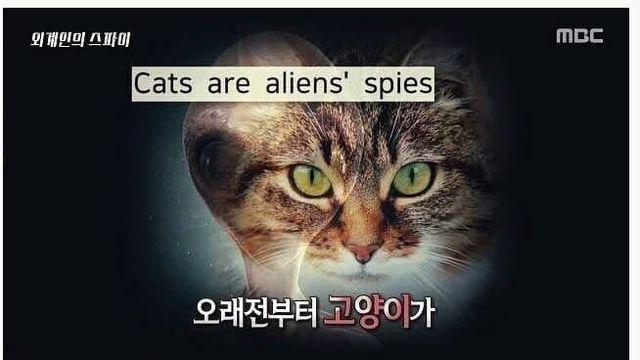 외계인의 스파이.jpg