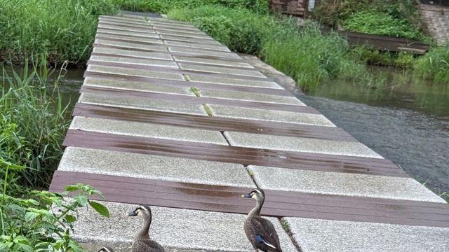 취준생에게 일침하는 제미나이 ㄷㄷㄷ