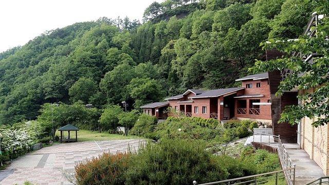 급수시설 등 보강…영동 민주지산휴양림 25일 재개장
