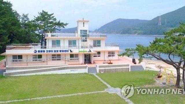 공간분리않고 40∼50마리 보호 ‘통영 고양이학교’ 관리부실 논란