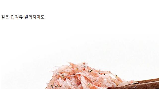 갑각류 알러지가 ㅈ같은 이유