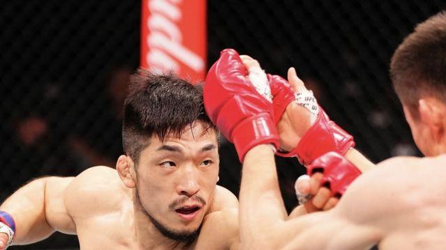 韓 파이터 5명이나 UFC 옥타곤 오른다…22~23일 유수영+로드 투 UFC 도전자 4명 출격