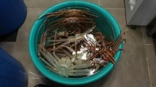 군침군침 횟집에서 김장을하면..jpg