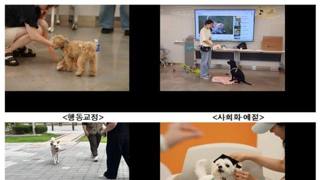 “초코도 반려인도 배움이 필요해!” 서울 반려동물 시민학교 가을학기 모집