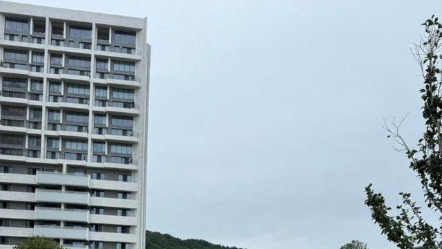 조국 특별 사면에 조민…