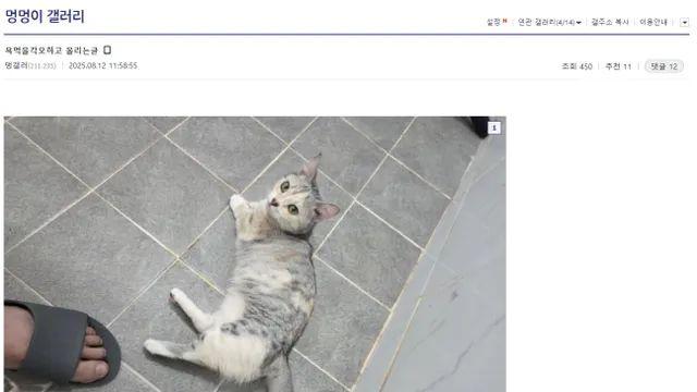 어질어질.. 논란중인 멍갤러