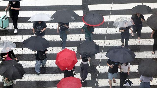 수요일 중부 중심 많은 비…수도권 시간당 최대 50㎜ 집중호우