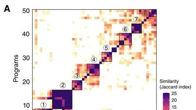 항암제도 듣지 않는 두경부암…