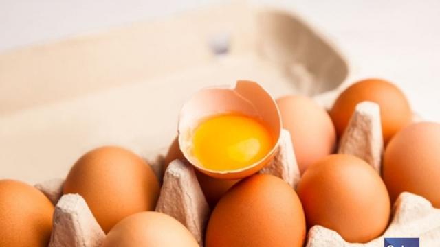 여름 식중독 '주의'... 