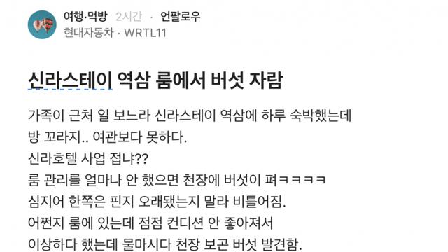 [블라인드] 신라스테이 서초룸에서 버섯 자람