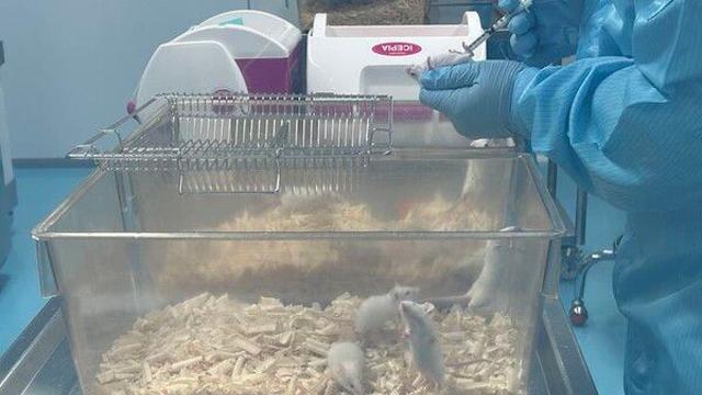 “오가노이드, 표준화 전쟁 중”…’승부수’ 띄운 K컨소시엄