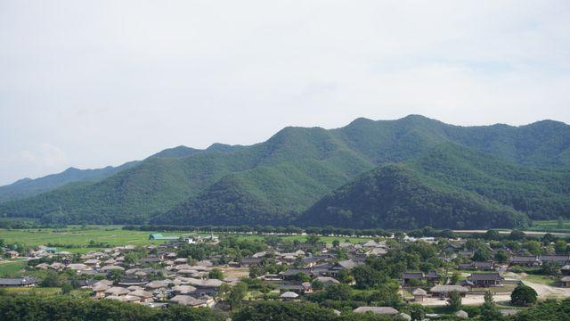산불보다 무서운 무관심… 안동 ‘볼런투어’로 일어나리