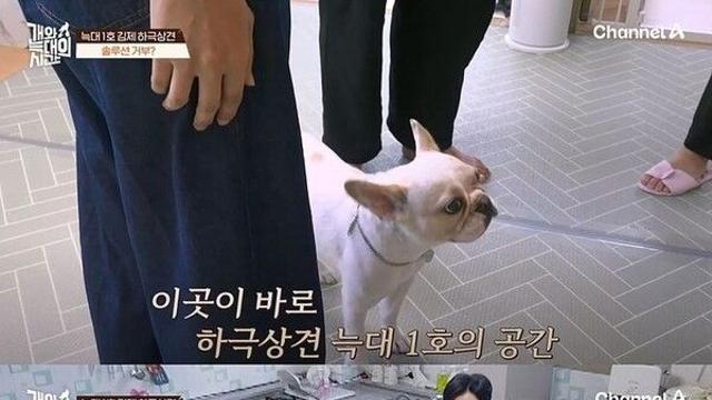 강형욱 