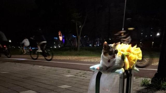 공익광고