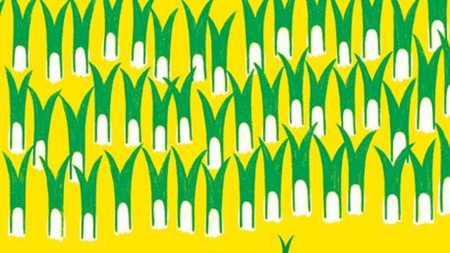 “온 가족 함께 ‘꽉’, ‘쏙’, ‘탁’”… 어린이 그림책 ‘파 뽑는 날’ 外 [그림책 이야기]