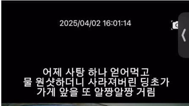 가게앞에서 어슬렁? 요아정 여자사장 감동시키는 요즘 초등학생 근황