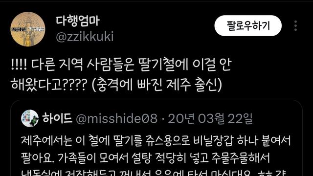 재주도에서 딸기철에 해먹는거