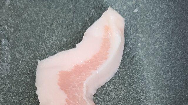 내가 찍은 한반도 항정살