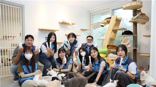 애경산업 휘슬, 유기고양이 보호소에 제품 기부·봉사활동