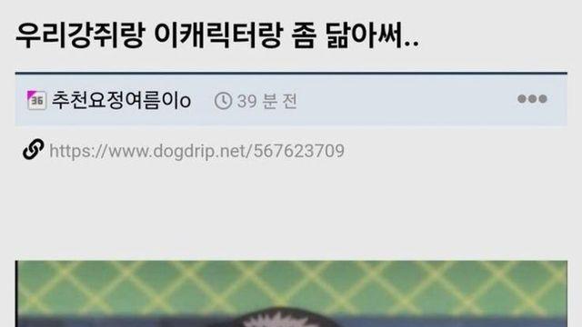 뭔가 이상한 댕댕이 외모