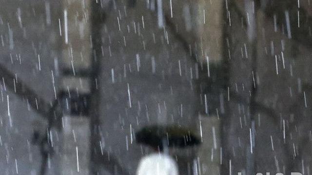 충남권 오후까지 최대 40㎜ 비 예보…밤에는 '열대야'