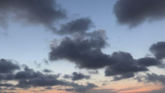 해변에서 여유 만끽! 헨리, 민소매+미소로 완성한 여름 남친룩