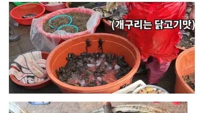모란시장 레전드 등장.jpg,,
