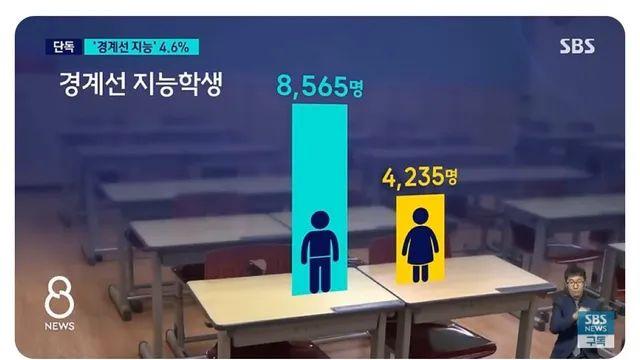 초등학교 경계선 지능 학생 성비