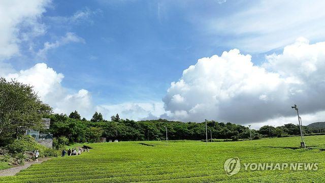 제주 대체로 맑음…낮 최고 32∼33도