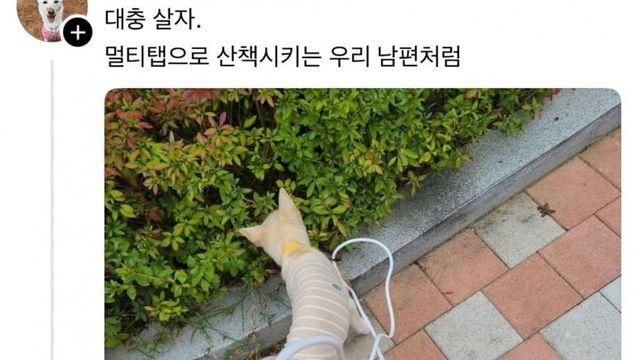 대충 사는 사람들