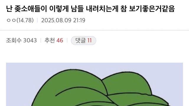 좃소애들이 남들 내려치는게 보기 좋다는 중소갤러