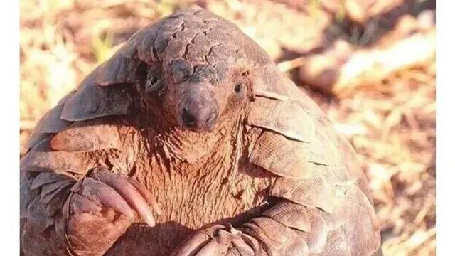 오늘 주식으로 3억원 잃었음