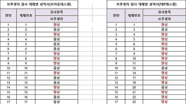 <단독> 강화발 ‘개 브루셀라’ 집단 발병