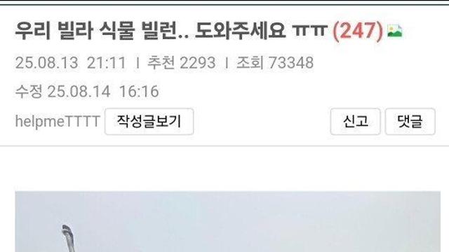 SH 임대 빌라의 식물빌런 ㄷㄷ