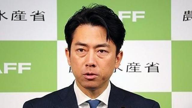 '차기 유력 총리후보' 고이즈미, 야스쿠니 참배…이시바 내각 처음