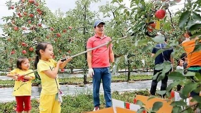 장수 한우랑사과랑축제 먹거리·체험 부스, 지역 업체 우선 공급