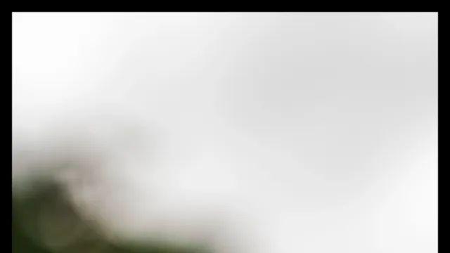 일하다 아무거나 찍어보아요
