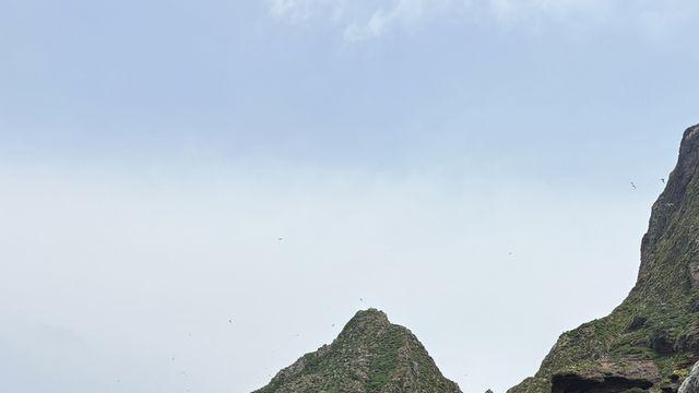 '독도 쌀과자' 업체, 광복 80주년에도 '독도 사랑' 행보