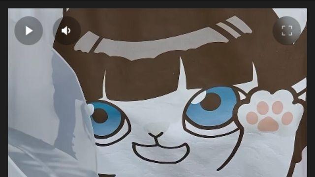 초음파 세척기 아무거나 사면 안되는이유