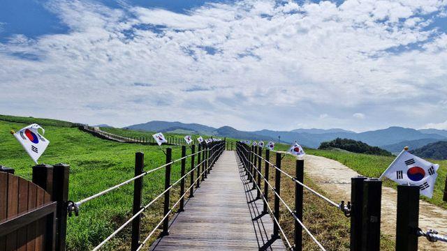 서산한우목장길, 태극기 360기 장관…광복의 의미 다시 새기다!