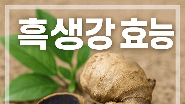 흑생강 효능 알고 먹었더니 달라진 피로감과 혈행 변화