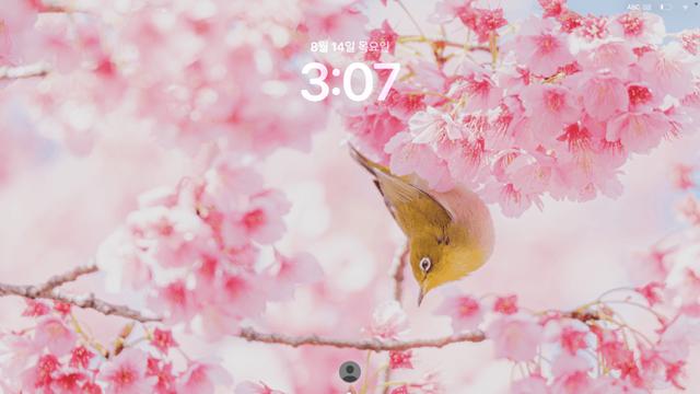 [배경화면] 사진질하는 이유 중 하나