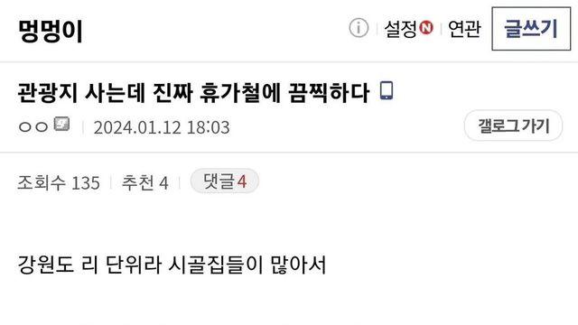관광지 근처사는 디시인이 휴가철만 되면 보는 끔찍한 광경 ㄷㄷ.jpg
