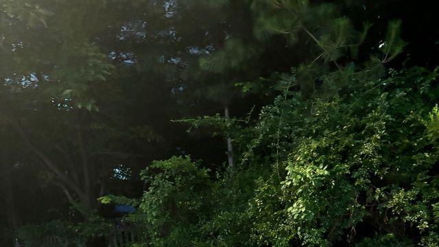 반려견과 산책 중에도 화보각! 노윤서, 꾸안꾸 스트리트 무드 완성